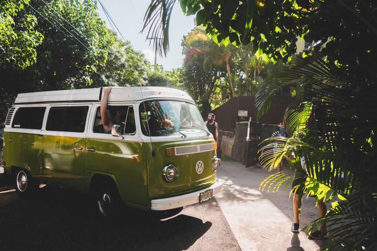 volks wagon, van, car, vehicle, road, travel, trees, people, ride, outdoor
, 
