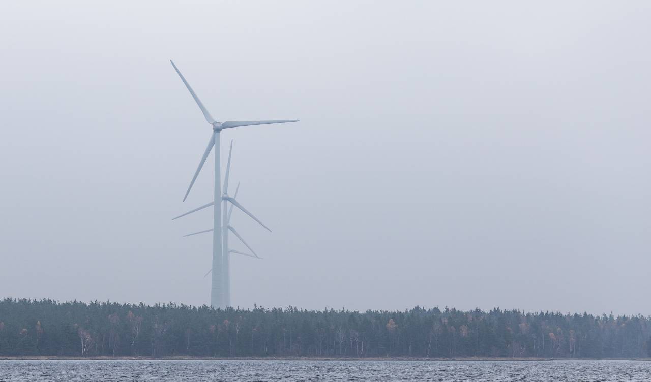 wind, windmill, trees, plant, nature, sea, water, horizon, sky
, 