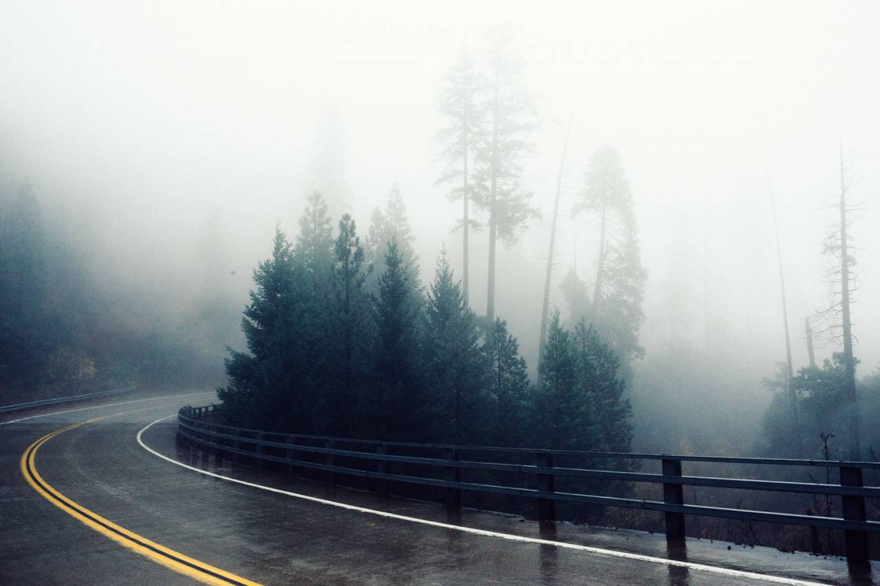 winding, road, railing, guard rail, fog, foggy, trees, forest, hill
, 