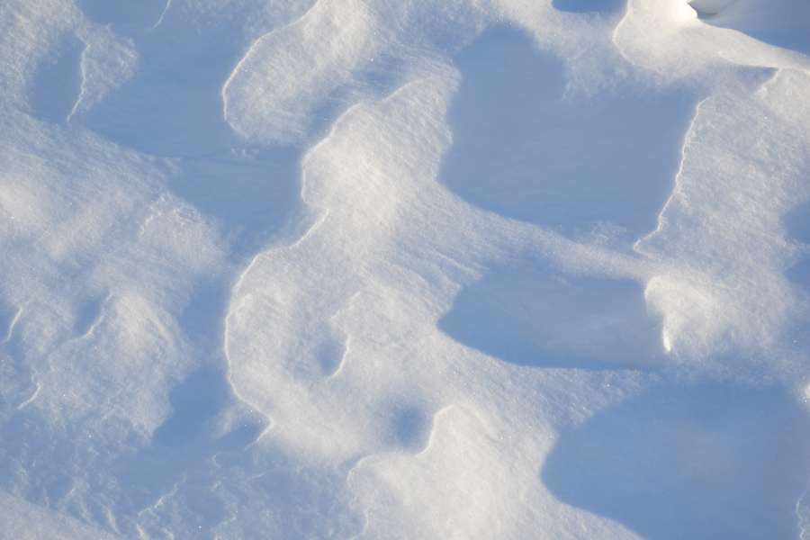 invierno, campo, nieve, campo de nieve, ventisqueros, alivio, superficie, copos de nieve, reserva, nieve pura, blanco, sombras, líneas, frío, escarcha, textura, temporada, clima, naturaleza, fauna silvestre,
