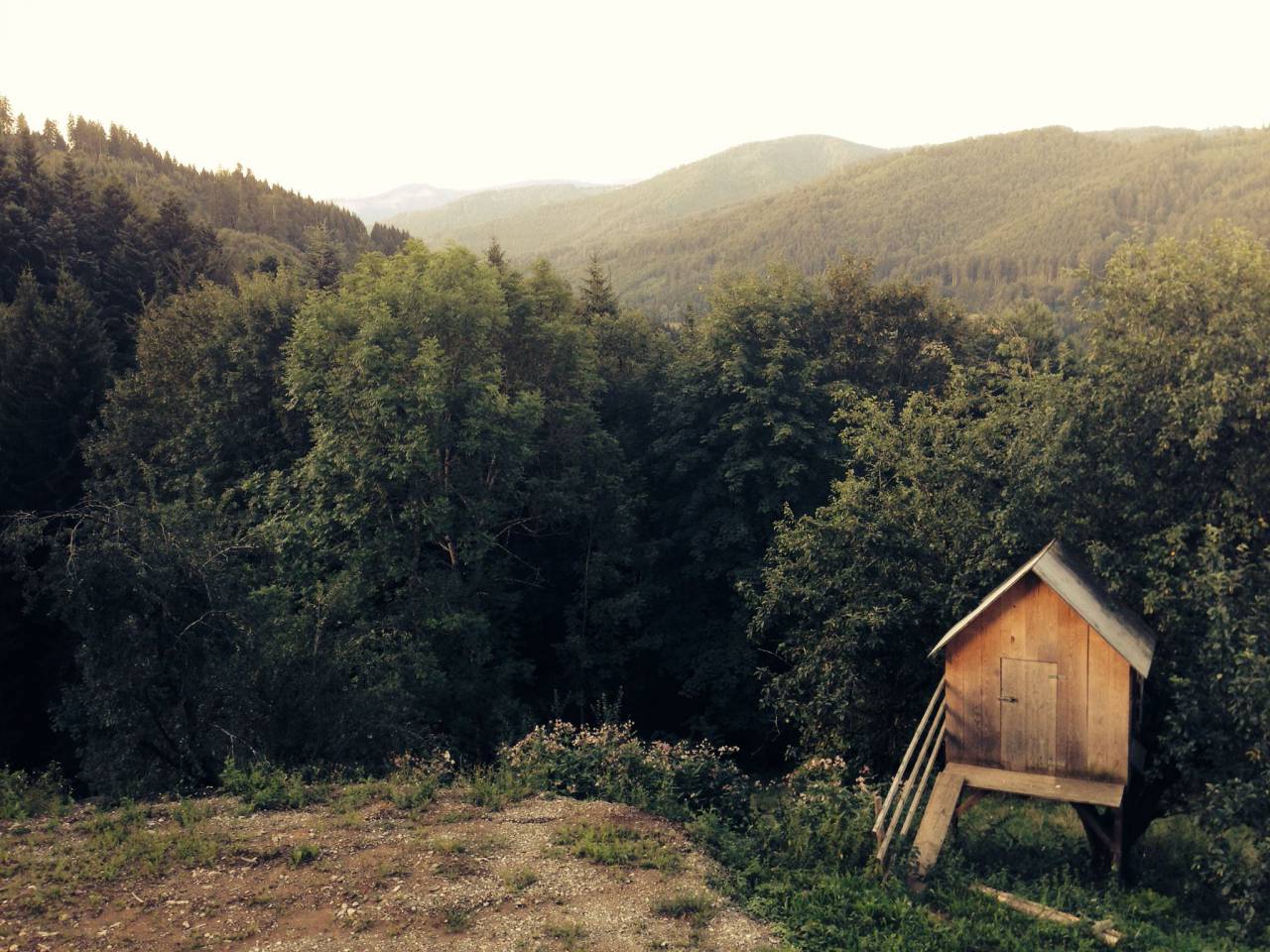 wood, shed, woods, forest, trees, grass, dirt, nature, outdoors, country
, 