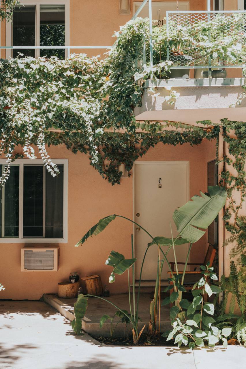 Arquitectura, edificio, infraestructura, apartamento, residencias, soleado, día, sombra, verde, plantas, naturaleza,
