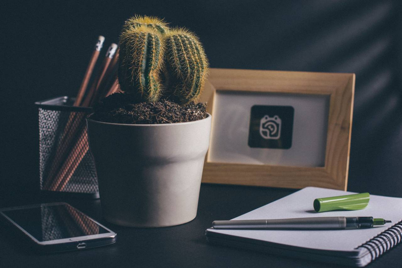 Cactus, oficina, escritorio, cuaderno, bloc de notas, bolígrafos, lápiz, teléfono inteligente, móvil, teléfono celular, imagen, marco, negocios, creativo,