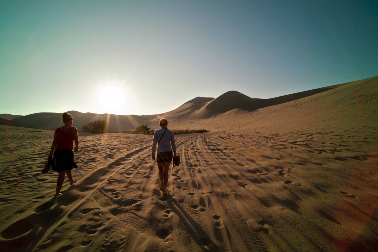 desert, people, footsteps, plants, adventure, travel, trip, girls, female, women, back, sun, rays, feet, summer, landscape, sand, shoes
, 