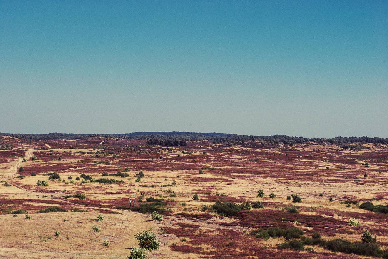 Desierto, arena, paisaje, naturaleza, sol, caliente, azul, cielo, verano, al aire libre,