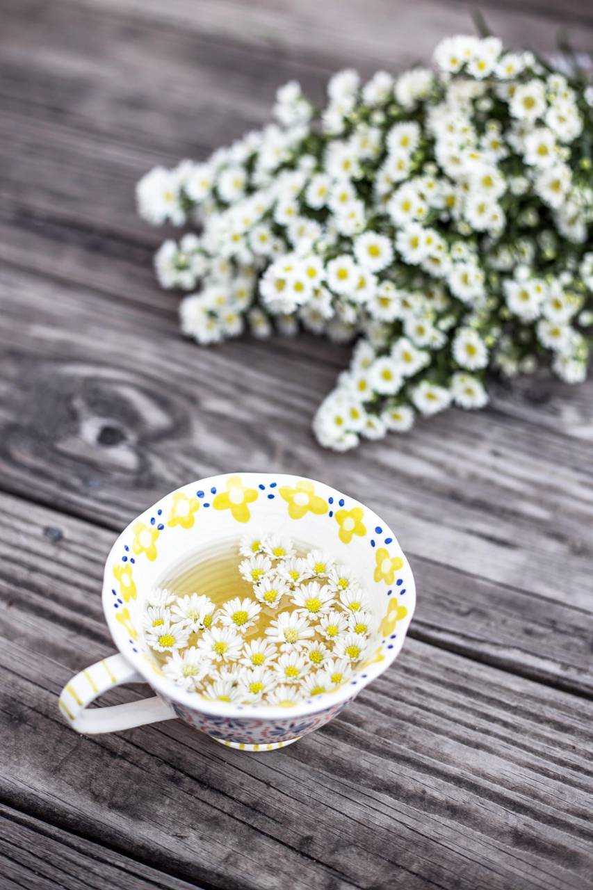 flowers, nature, blossoms, bouquet, white, petals, floating, submerged, water, cup, cute, adorable, wood, panels, table, still, bokeh, styling
, 