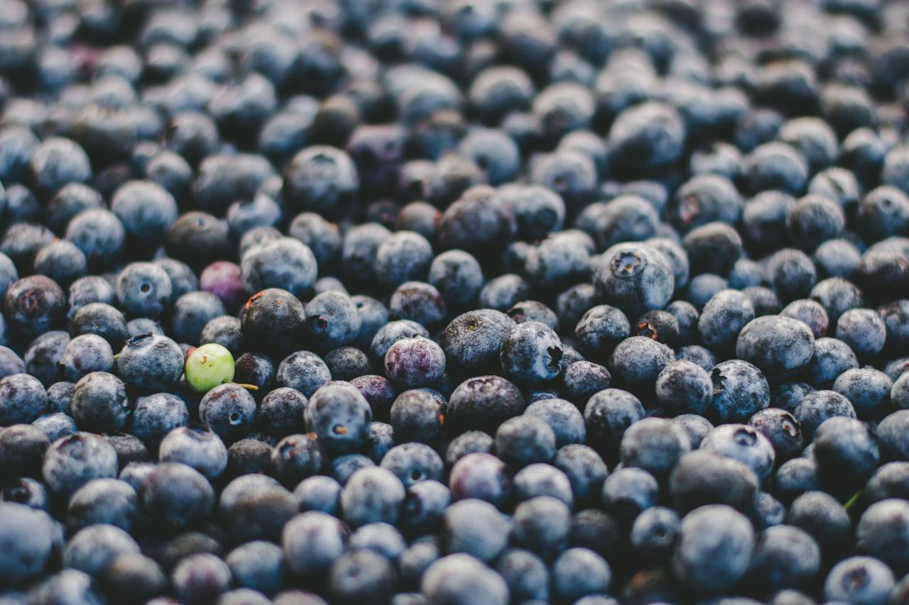 fruit, round, blueberries, green, violet, berry, food, harvest, farm, sweets, dessert
, 