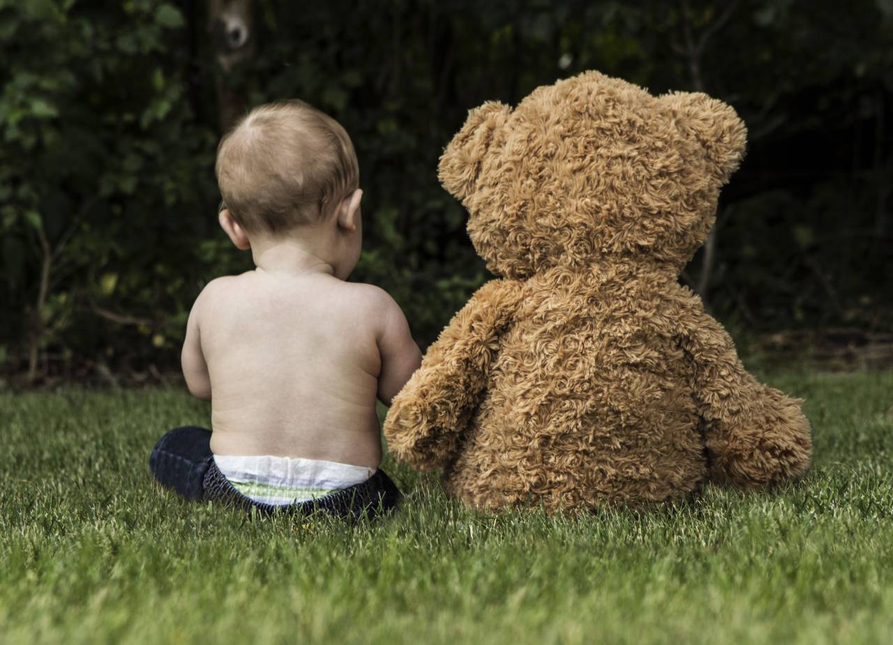 green, grass, grassland, outdoor, landscape, nature, baby, kid, child, toddler, playing, teddy bear, stuffed toy
, 