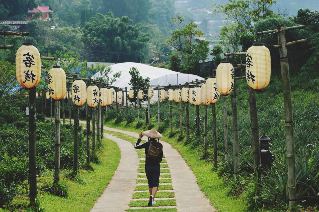 green, grass, trees, plant, nature, field, farm, garden, pathway, wood, lantern, people, man, walking, farming, highland, houses, rural, mountain
, 