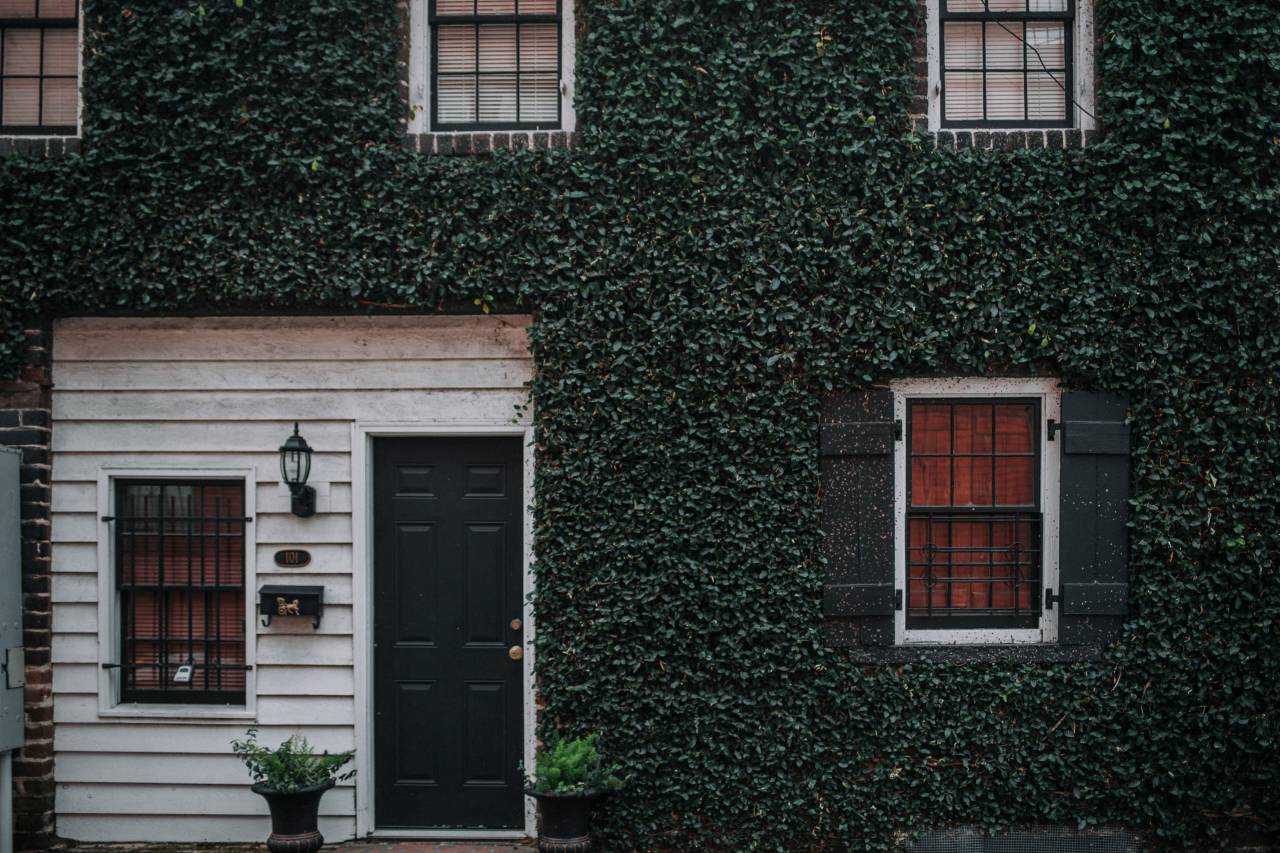 casa, césped, plantas, florero, ventana, vaso, puerta, exterior, luces, cortina, buzón, ladrillos, pared, candado, de madera, acero,