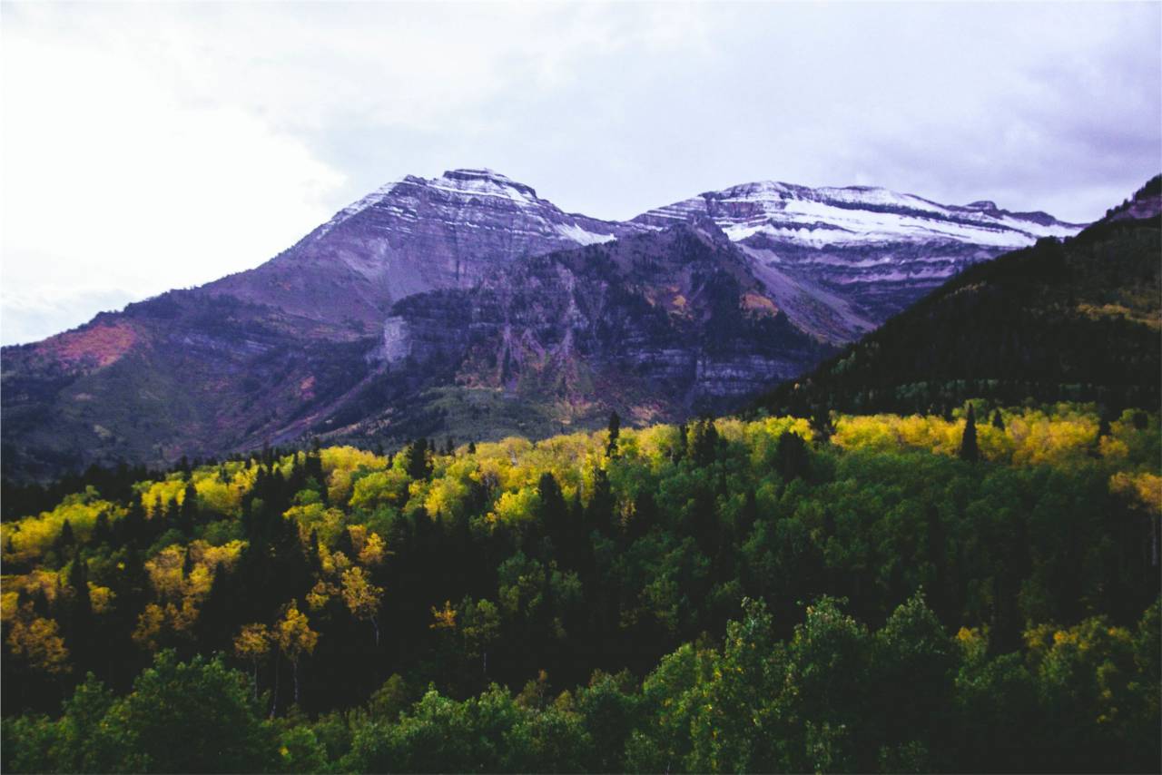 paisaje, montañas, colinas, valles, árboles, naturaleza,