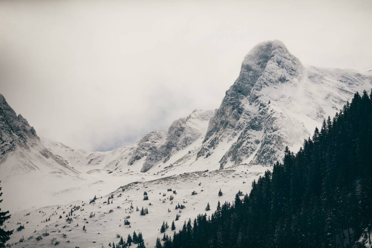 Montaña, tierras altas, nube, cielo, cumbre, cresta, paisaje, naturaleza, valle, colina, nieve, invierno, ver, viajar, árboles, en blanco y negro,