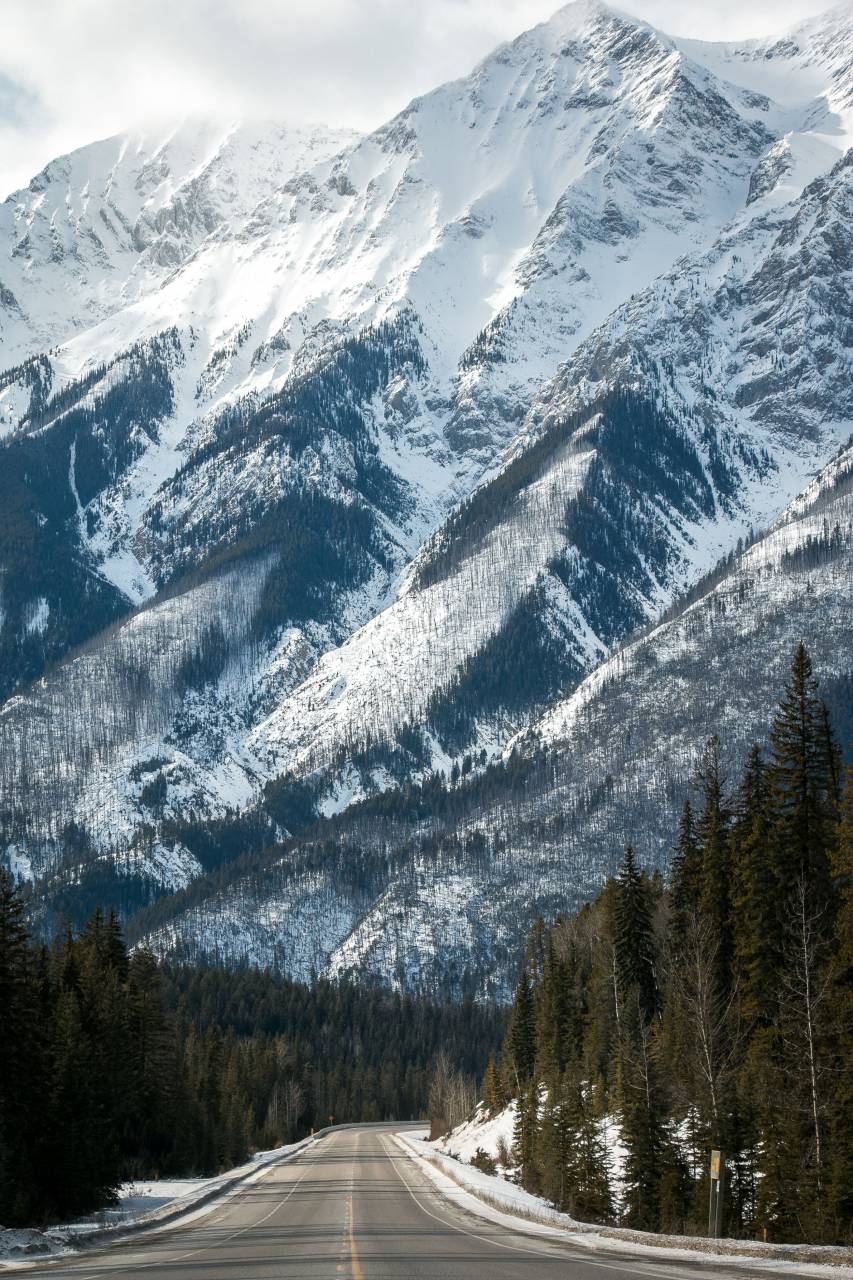 naturaleza, camino, autopista, viaje, aventura, montaña, árboles, bosque, bosque, hojas, verde, nieve, invierno, frío, clima, nubes, cielo,