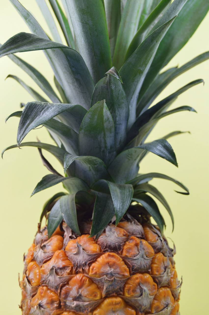 pineapple, dessert, appetizer, fruit, juice, crop
, 