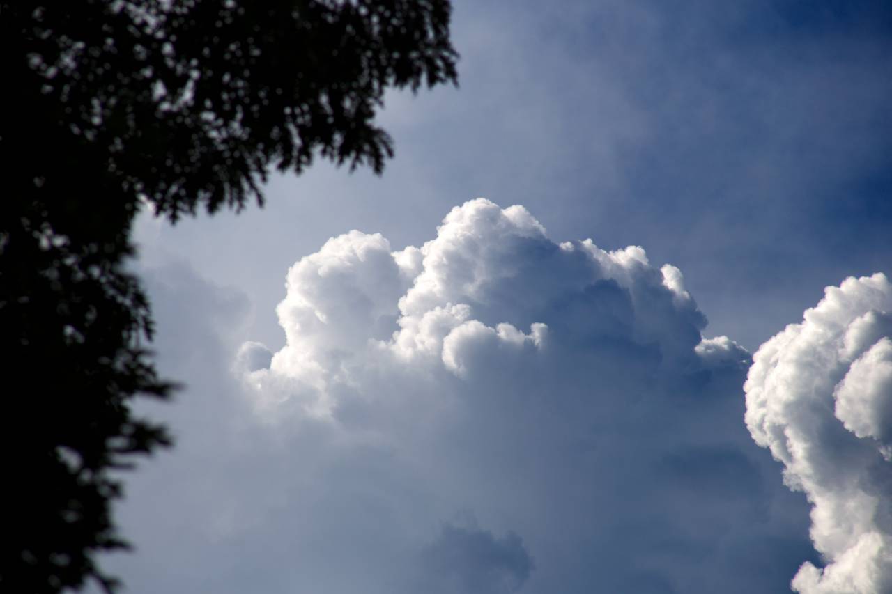 hinchado, verano, nubes, árboles, silueta, naturaleza, aire libre, cielo, medio ambiente, espacio de copia, clima, tiempo, luz del sol, hojas, follaje, natural,