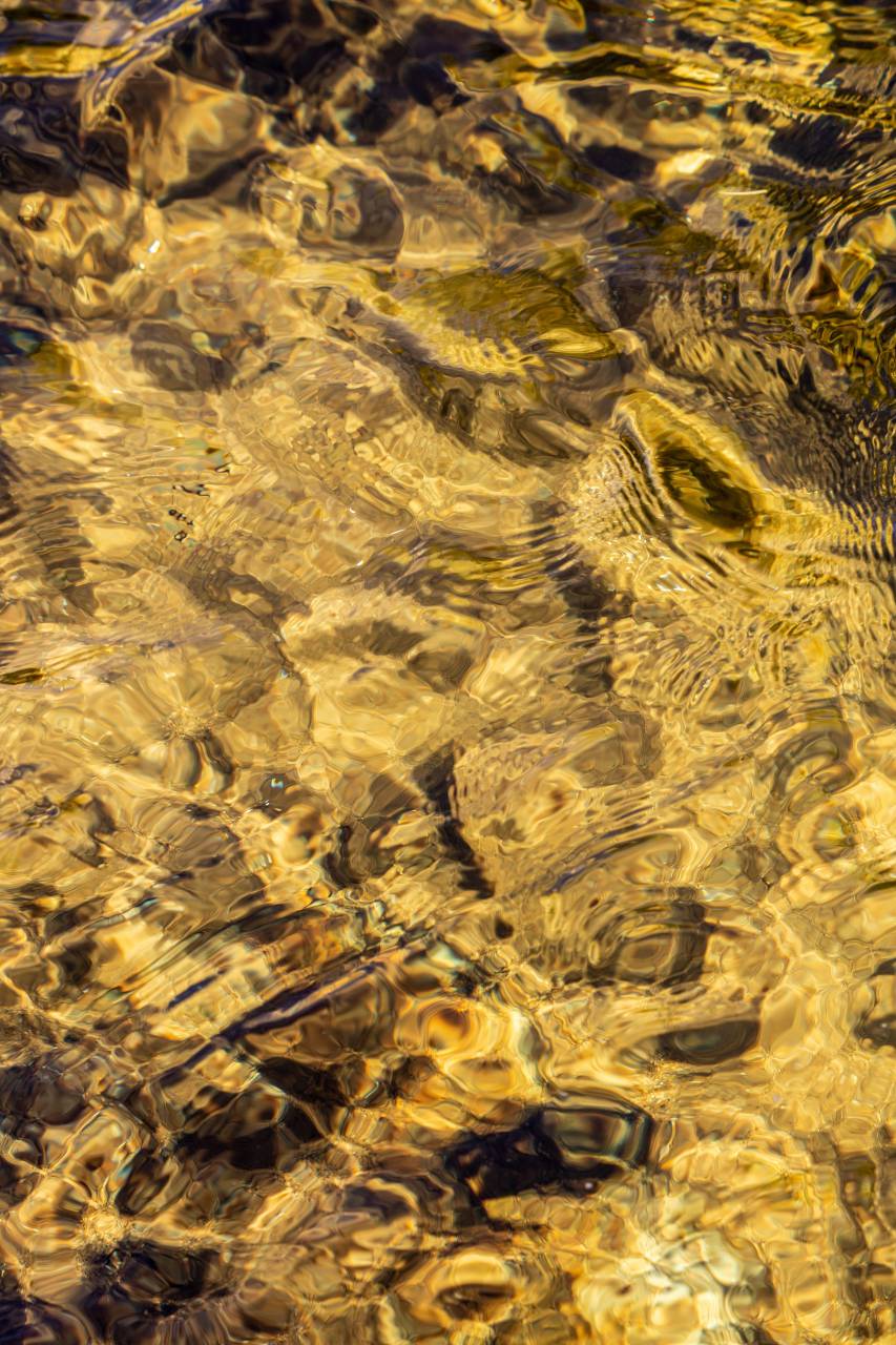 rippled, water, lake, waves, sunlight, reflections, nature, natural, ocean, river, sea, wet, movement, surface, texture, golden, warm
, 