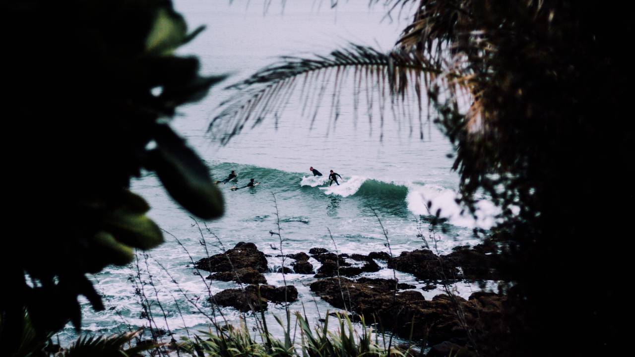 mar, océano, agua, olas, naturaleza, árboles, plantas, rocas, costa, gente, natación, deporte, surf,