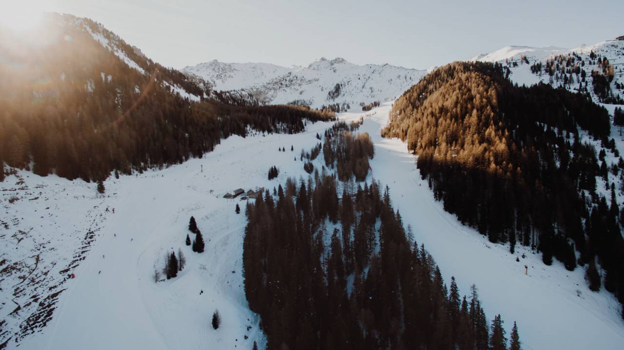 snow, winter, white, cold, weather, ice, trees, plants, nature, travel, adventure, sun, woods, forest
, 