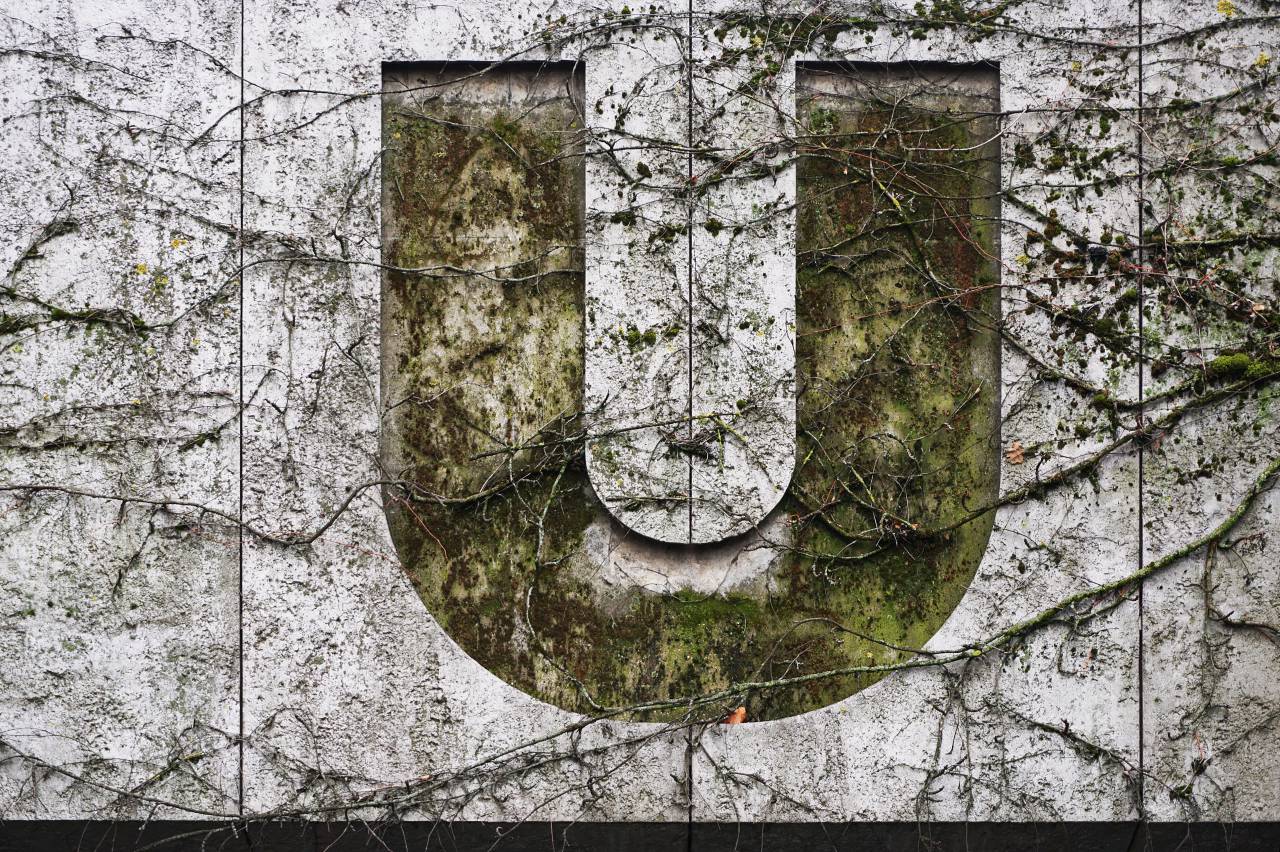 wall, plants, roots, letter, vine, old, dirty
, 