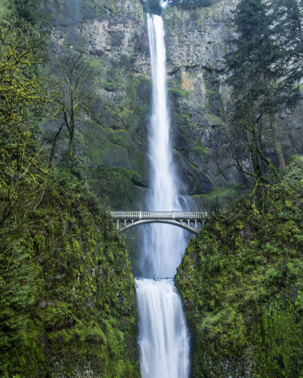 waterfall, nature, mountain, narrow, cliff, forest, natural, water, green, flowing, landscape, outdoor, stream, bridge, path
, 