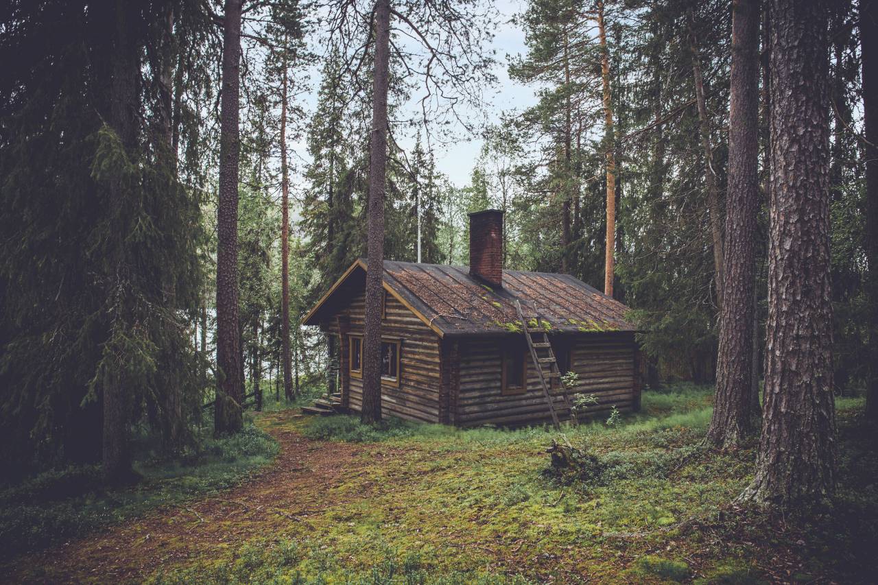 madera, troncos, cabaña, cabaña, rural, campo, bosque, bosque, árboles, césped, naturaleza, al aire libre, aventura, camping, lago,