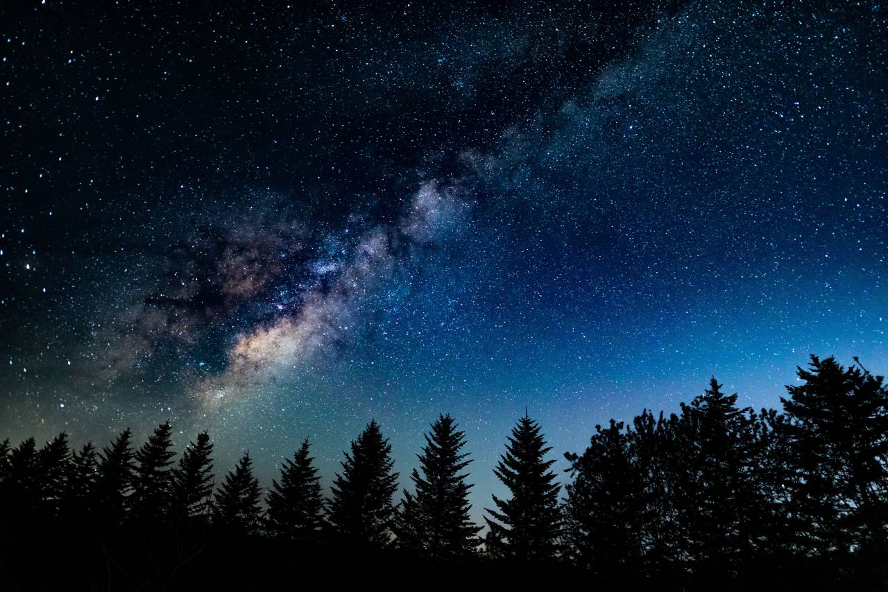 milky way, pine forest, night, dawn, 