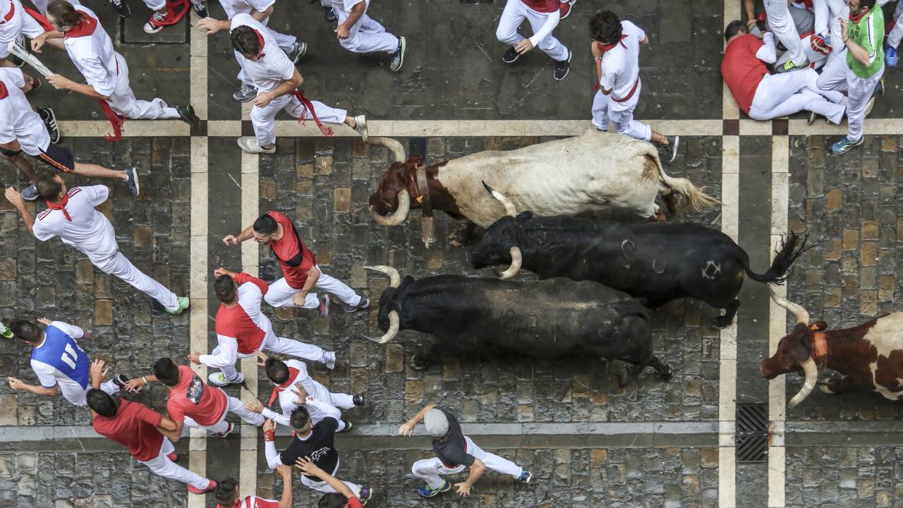 san fermin, spain, pamplona, festival, bull, bulls, running, 