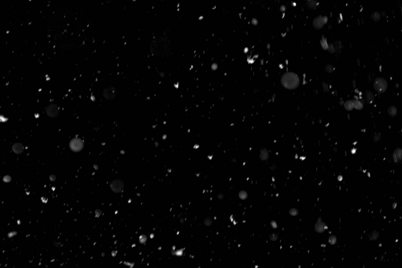 efecto, copo de nieve, nieve, navidad, png, textura, superposición, transparente, invierno, fondo, nevada, escama, frío, patrón, nevado, blanco, temporada, decoración, caída, magia, vacaciones, clima, telón de fondo, aislado, copos de nieve,