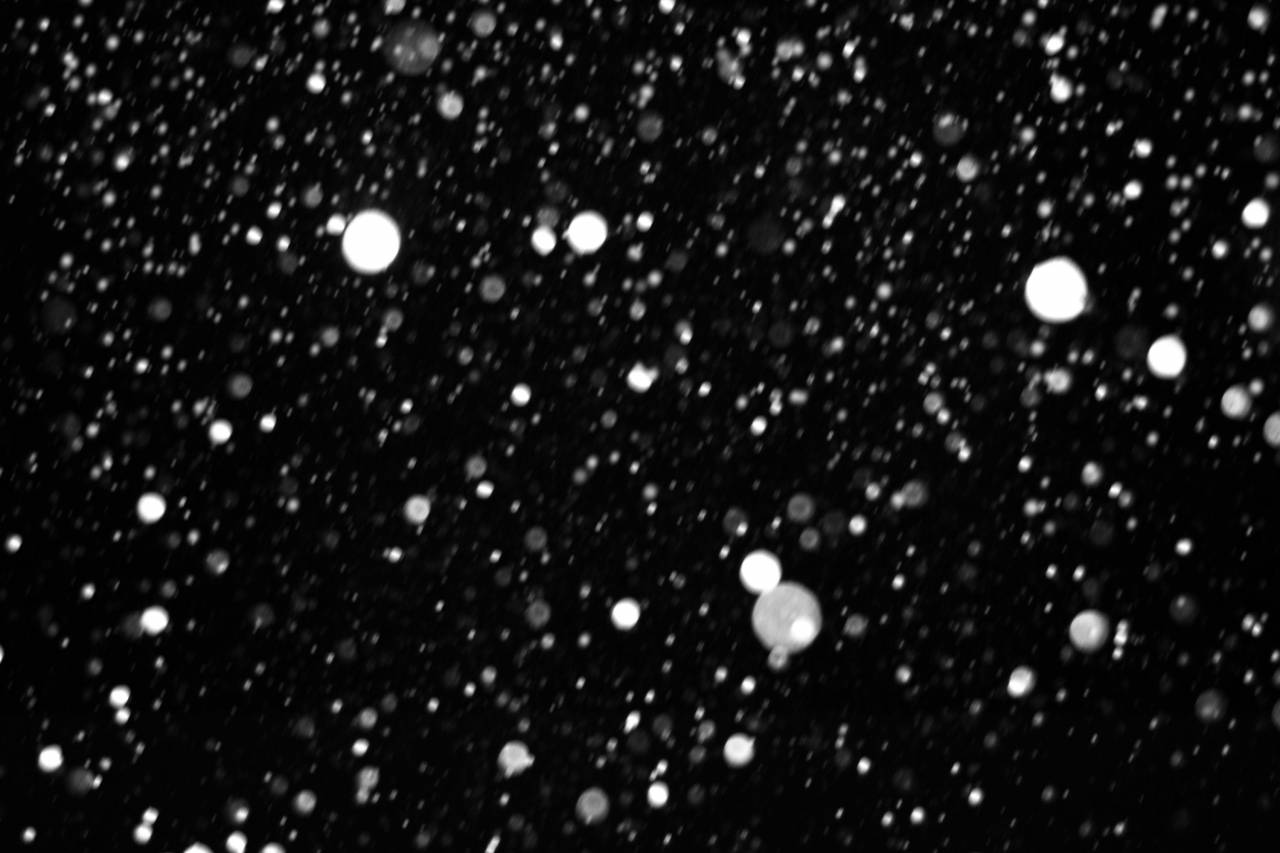 efecto, copo de nieve, nieve, navidad, png, textura, superposición, transparente, invierno, fondo, nevada, escama, frío, patrón, nevado, blanco, temporada, decoración, caída, magia, vacaciones, clima, telón de fondo, aislado, copos de nieve,
