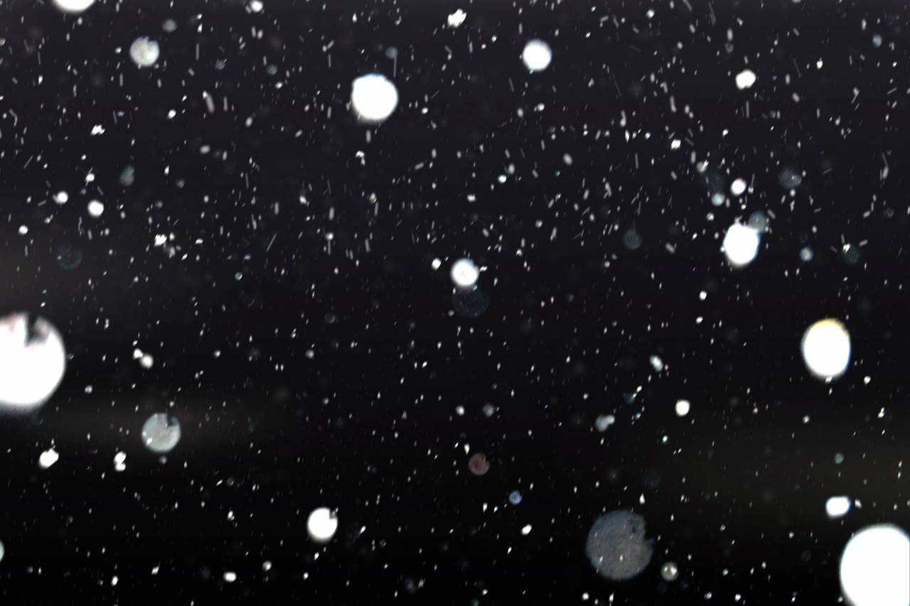 effect, snowflake, snow, christmas, png, texture, overlay, transparent, winter, background, snowfall, flake, cold, pattern, snowy, white, season, decoration, falling, magic, holiday, weather, backdrop, isolated, snowflakes, 