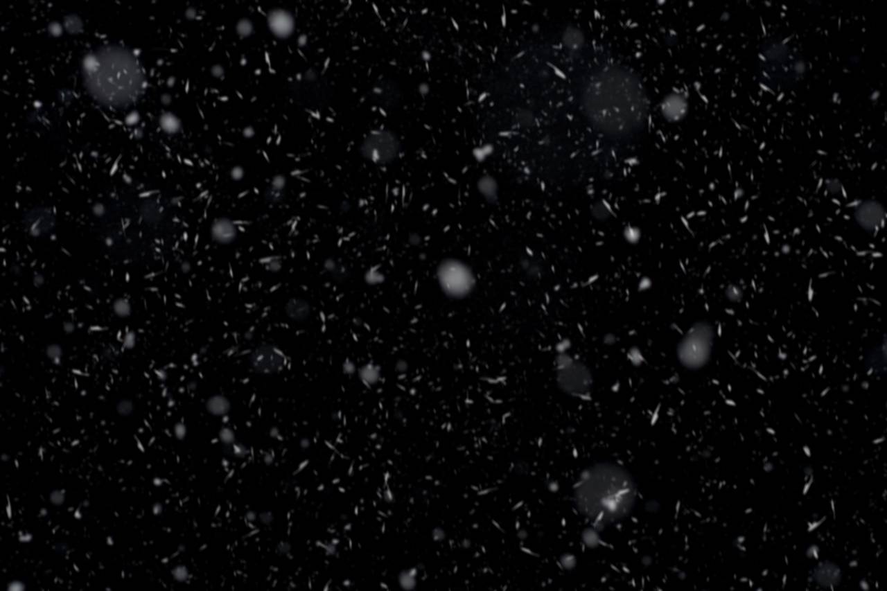 efecto, copo de nieve, nieve, navidad, png, textura, superposición, transparente, invierno, fondo, nevada, escama, frío, patrón, nevado, blanco, temporada, decoración, caída, magia, vacaciones, clima, telón de fondo, aislado, copos de nieve,