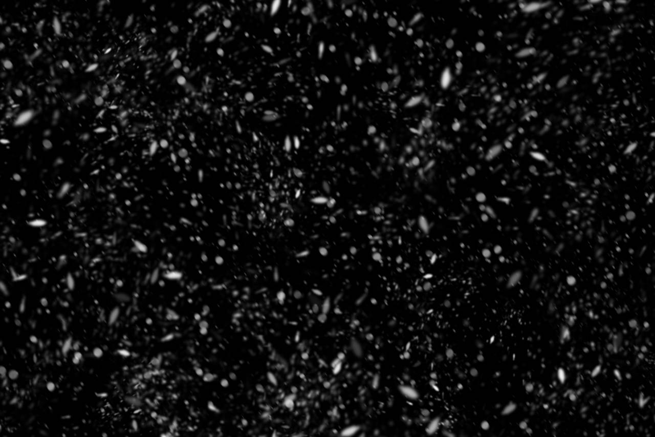 effect, snowflake, snow, christmas, png, texture, overlay, transparent, winter, background, snowfall, flake, cold, pattern, snowy, white, season, decoration, falling, magic, holiday, weather, backdrop, isolated, snowflakes, 