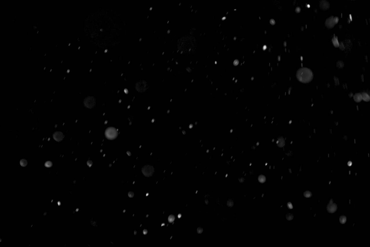 efecto, copo de nieve, nieve, navidad, png, textura, superposición, transparente, invierno, fondo, nevada, escama, frío, patrón, nevado, blanco, temporada, decoración, caída, magia, vacaciones, clima, telón de fondo, aislado, copos de nieve,
