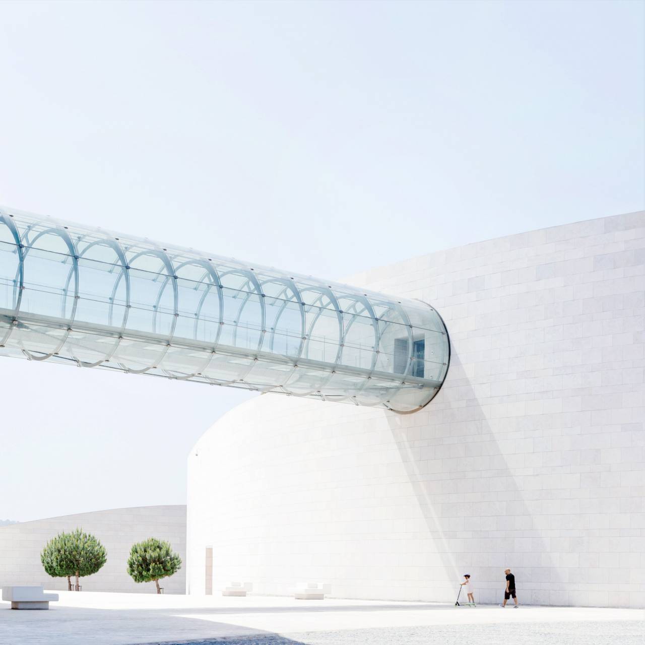 architecture, white, building, infrastructure, green, tree, plant, people, walking, outside, bridge, pathway
, 