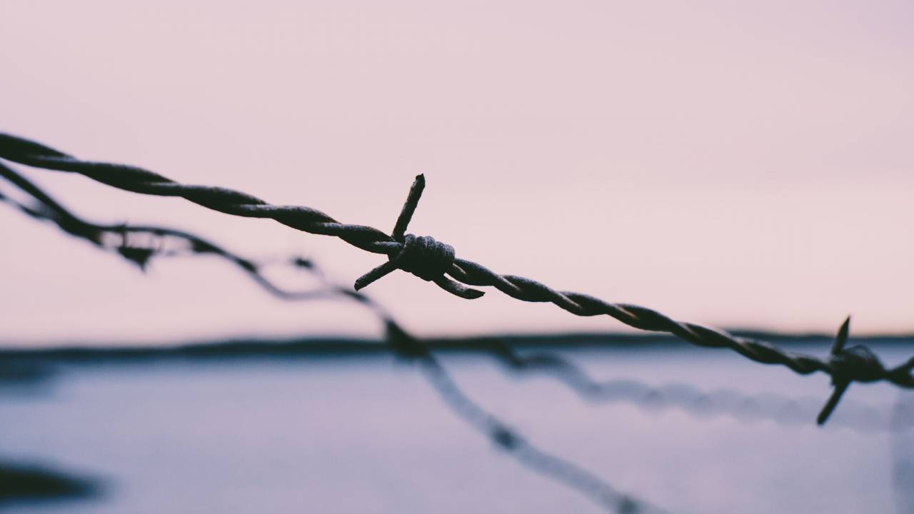barb wires, security, sharp, fence, propery
, 