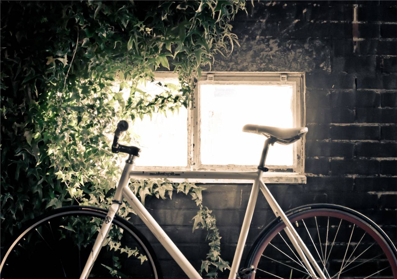 bike, bicycle, bricks, window, vines, leaves
, 