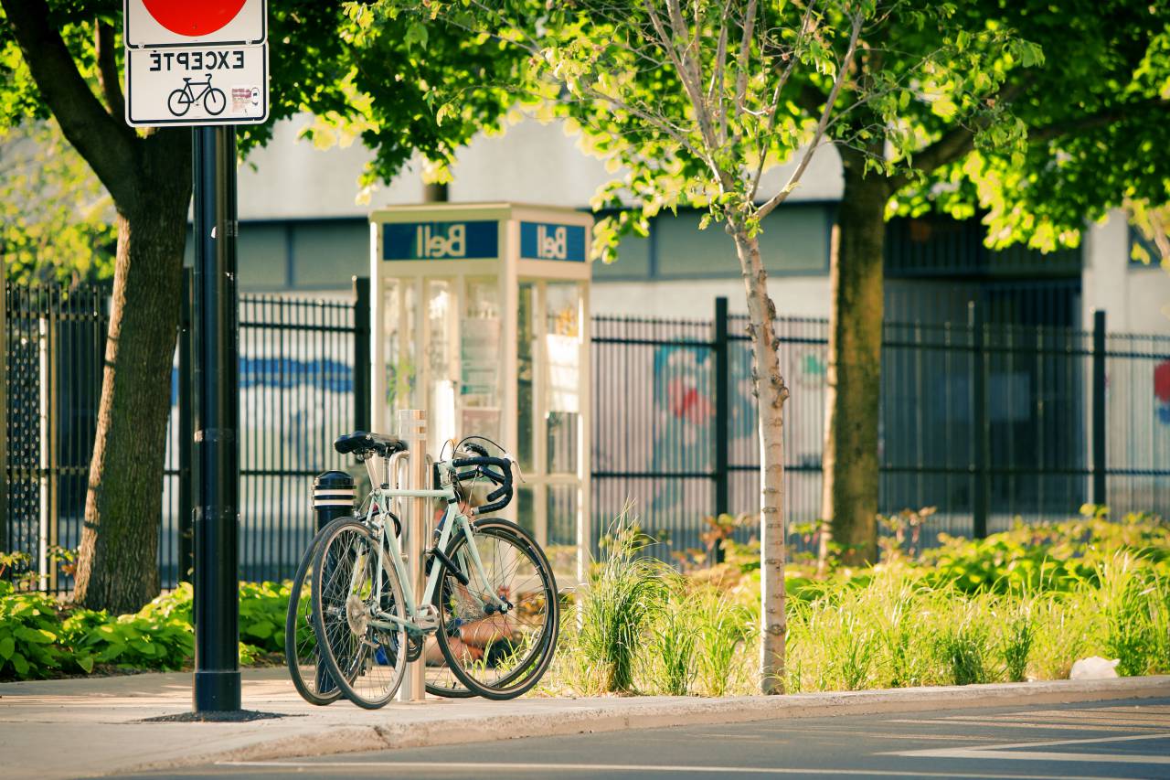bikes, bicycles, street, pavement, sidewalk, trees, grass, bushes, posts, telephone booth, bell
, 
