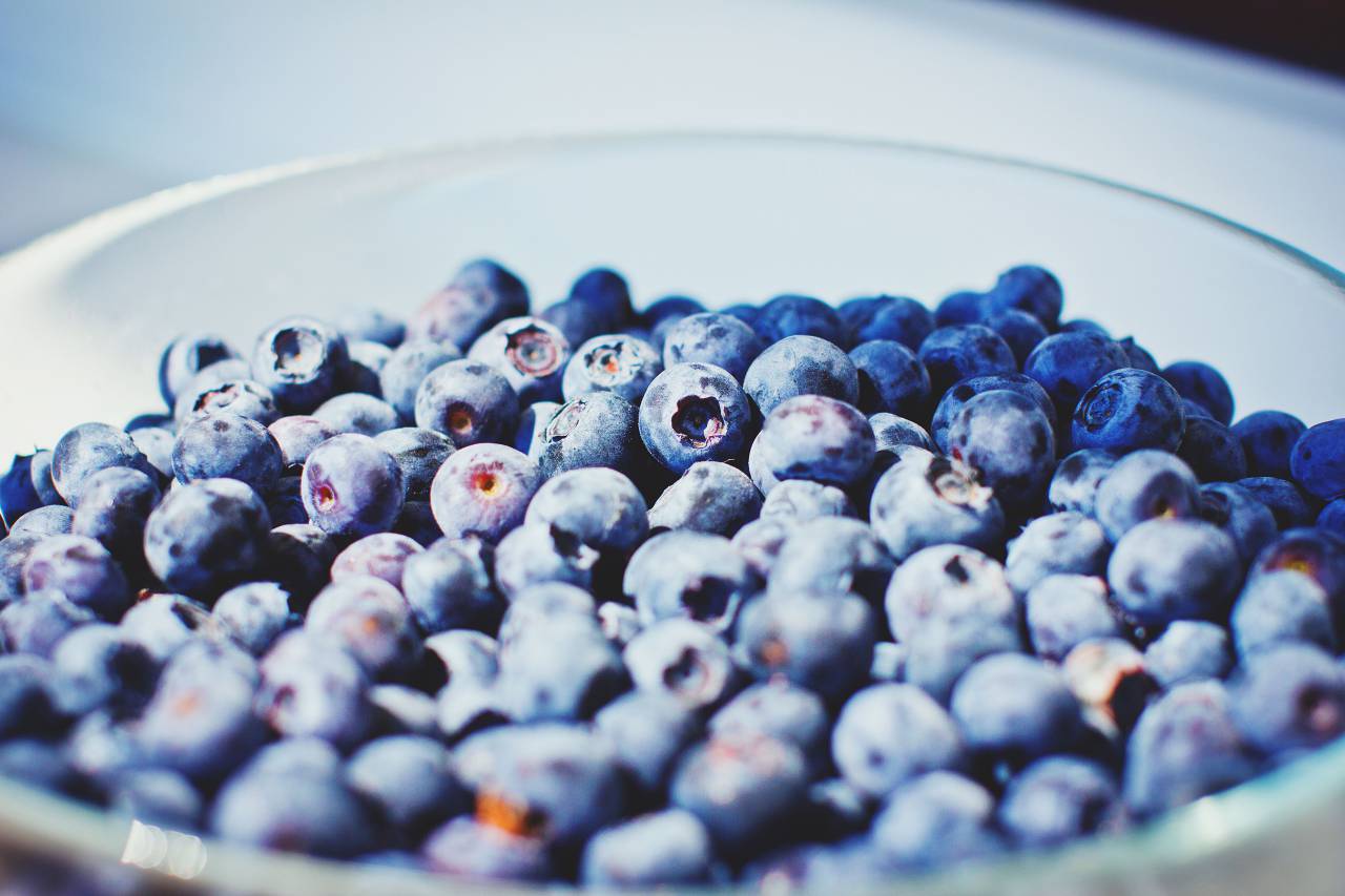 blueberries, fruits, bowl, healthy, food
, 