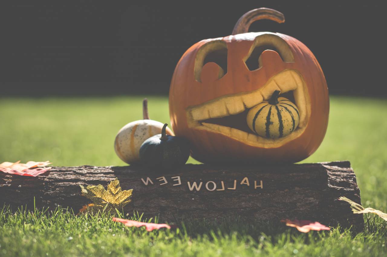 carved, halloween, halloween pumpkin, orange, orange color, pumpkin, season, seasonal, autumn, food, vegetable, typography, sign, teeth
, 