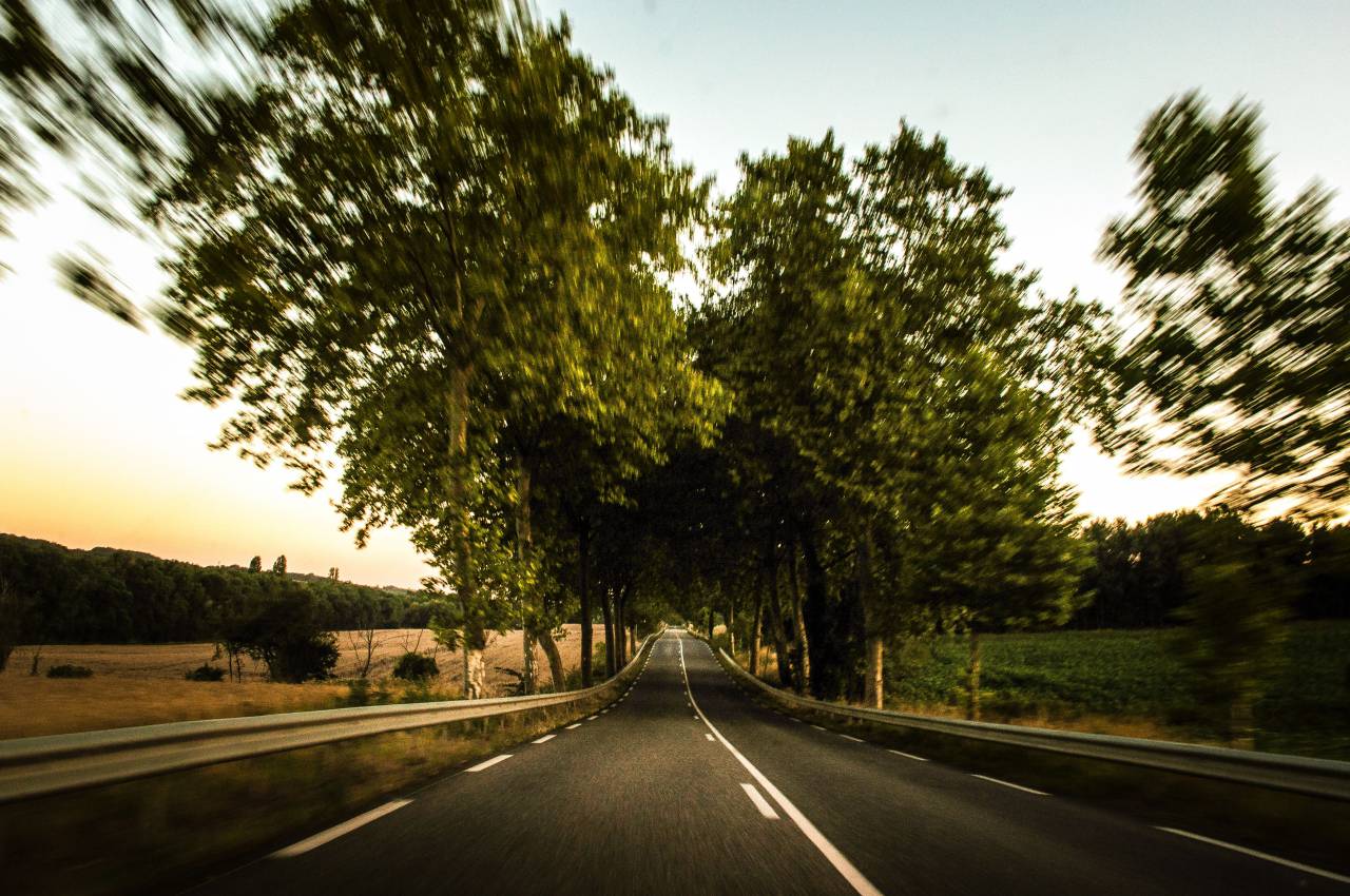 empty, road, guard rail, trees, rural, country, fields
, 