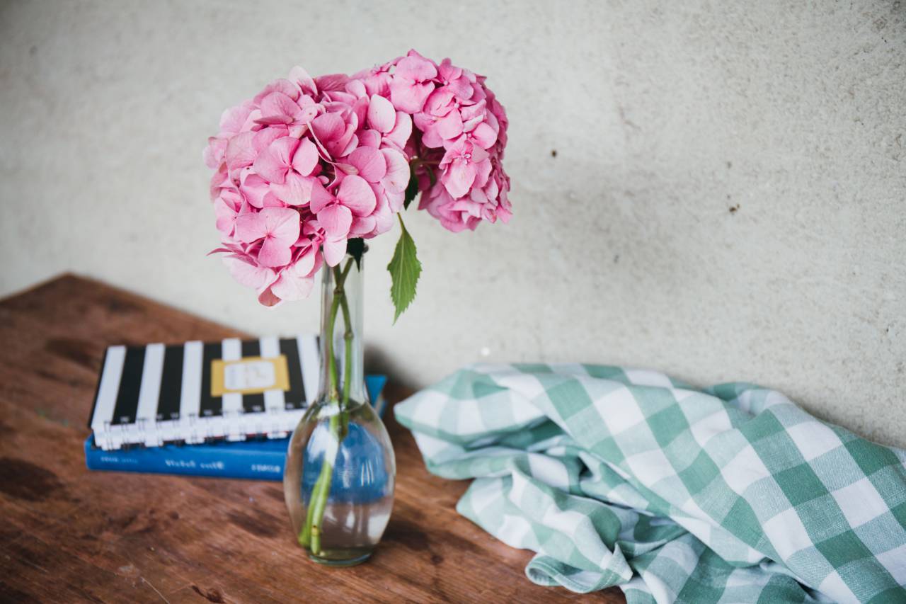 flower, vase, pink, blossom, plant, nature, curtain, books, table, wall, interior
, 