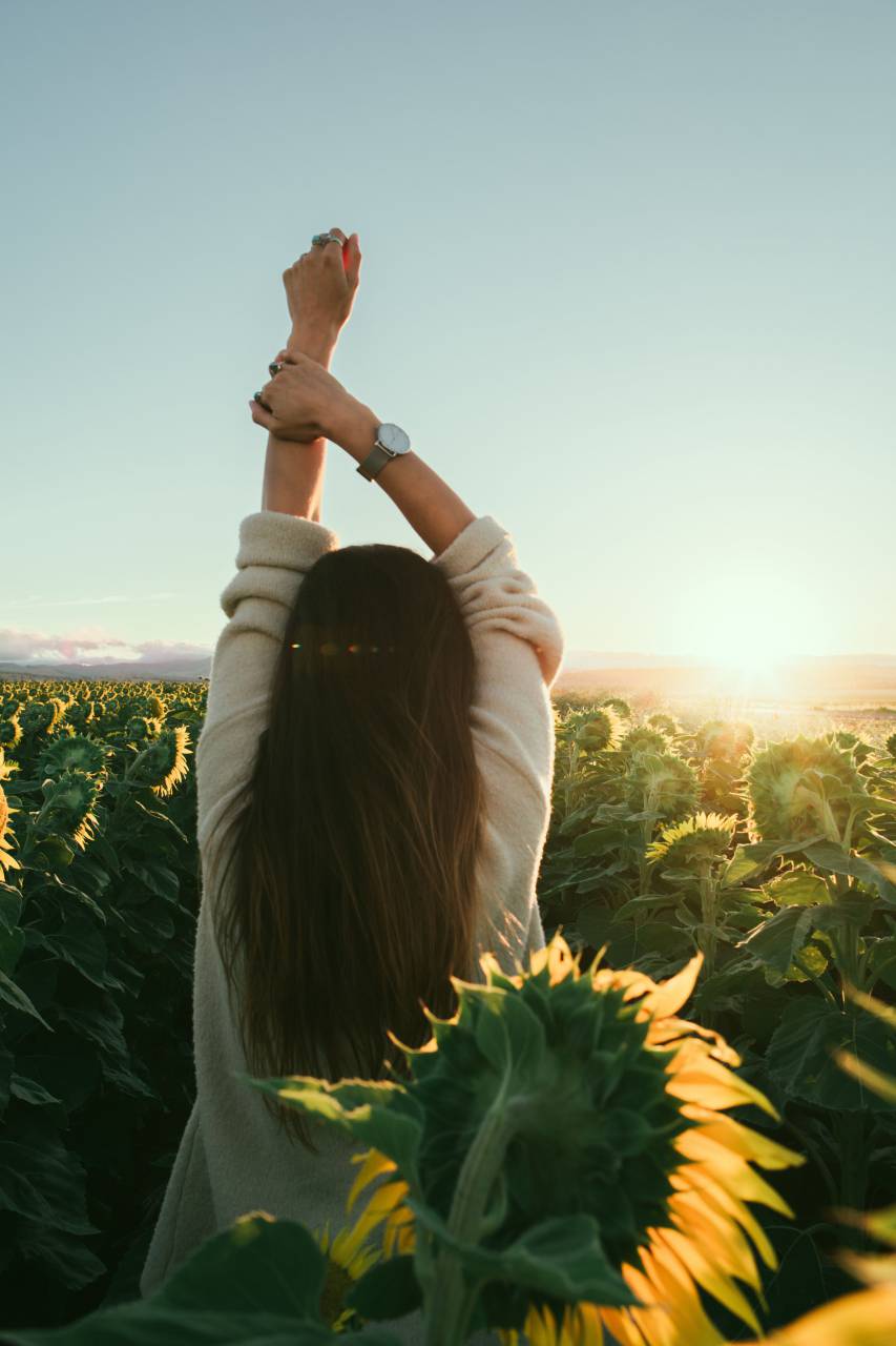 flower, yellow, petal, bloom, garden, plant, nature, autumn, fall, sunflower, people, woman, morning, sun, stretch, watch, accessory
, 