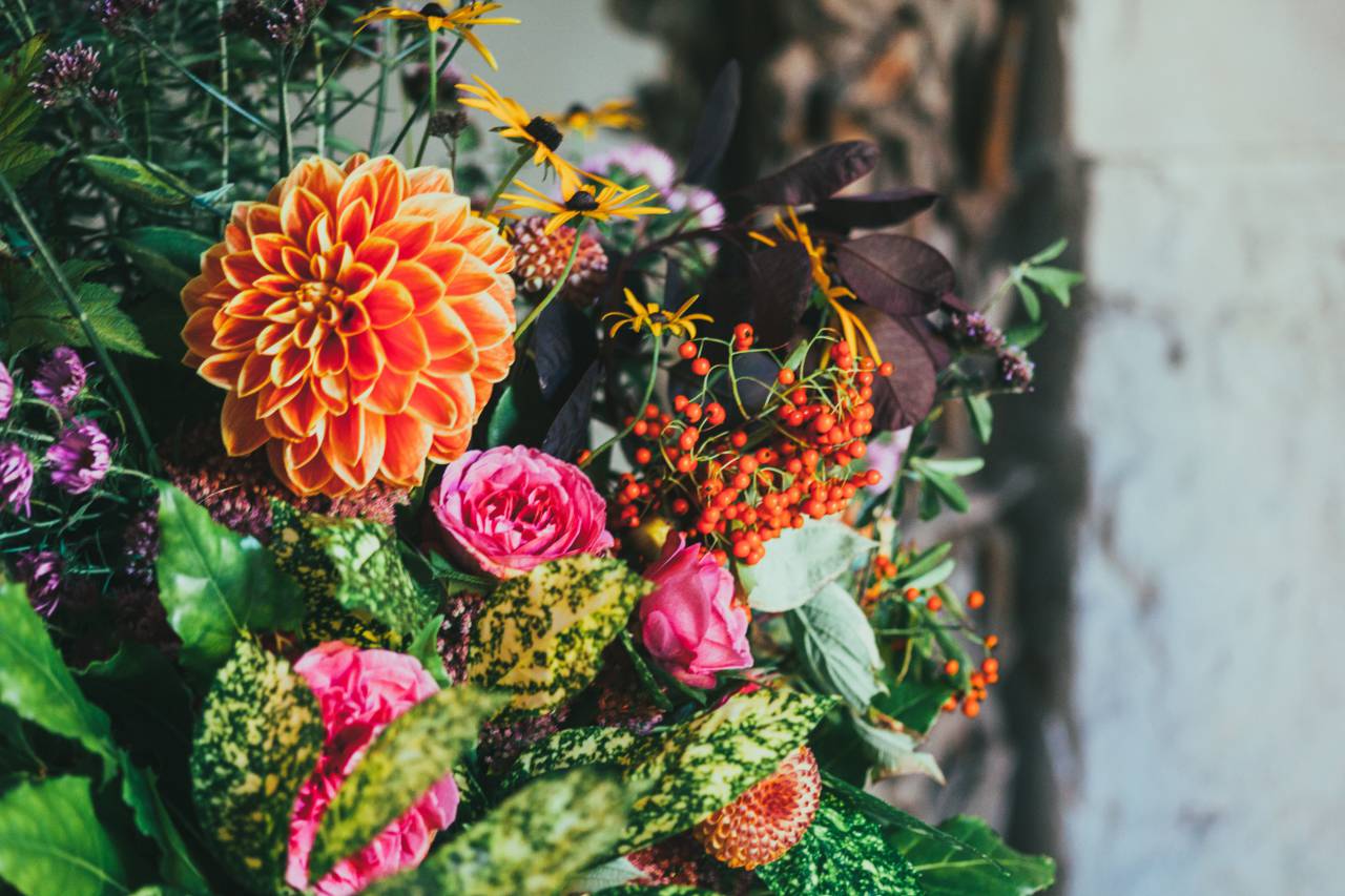 flowers, colorful, display, decoration, leaves, garden, cherries, sunflower, rose, bokeh, bouquet, plant, bloom, nature, petals
, 
