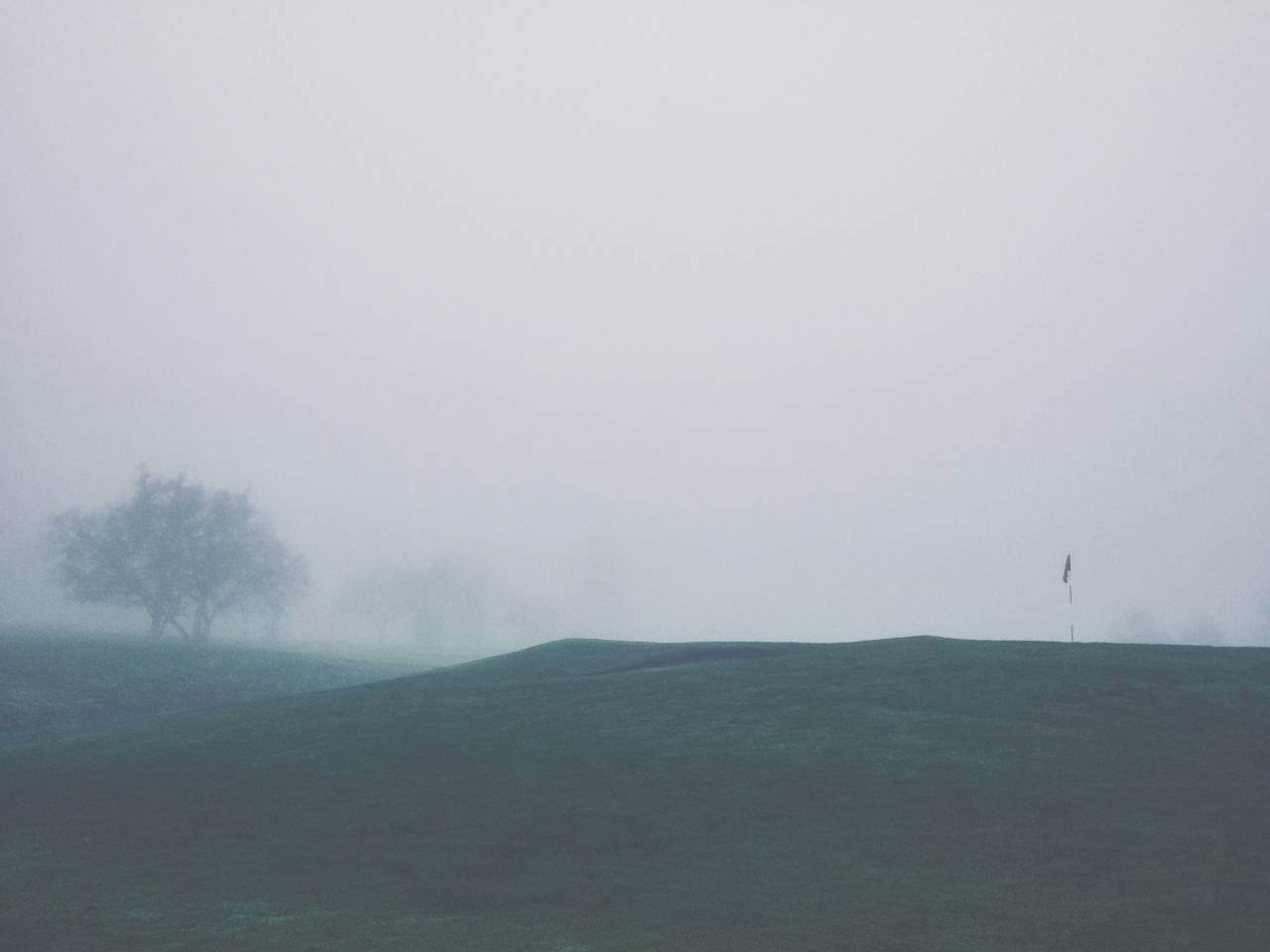 golf course, sports, green, flag, pin, grass, trees, fairway, fog, grey
, 