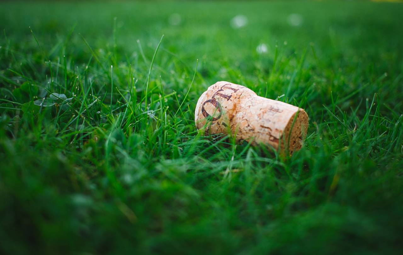 green, grass, lawn, field, corks, nature, blur, bokeh
, 