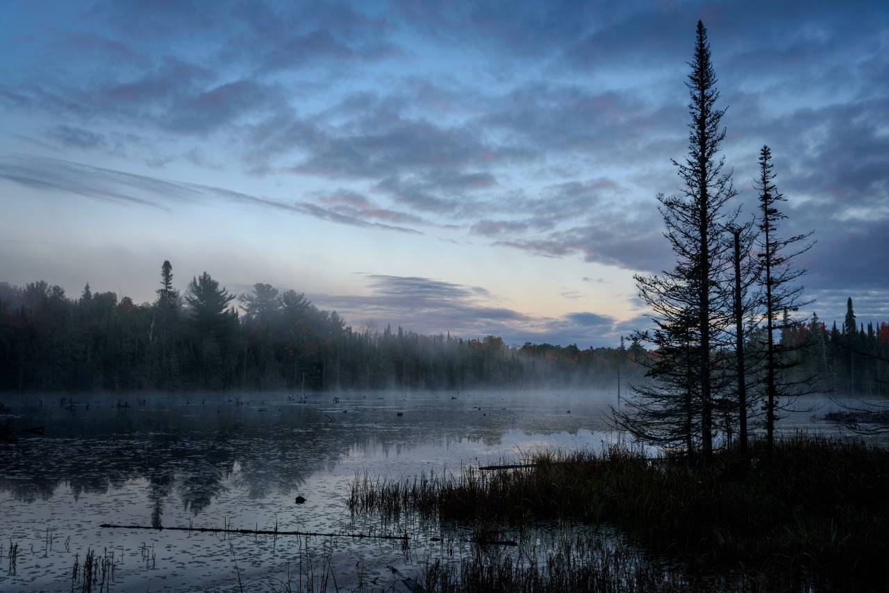 lake, landscape, tree, forest, dawn, fog, sky, clouds, nature, calm, outdoor, morning, mist, foggy
, 