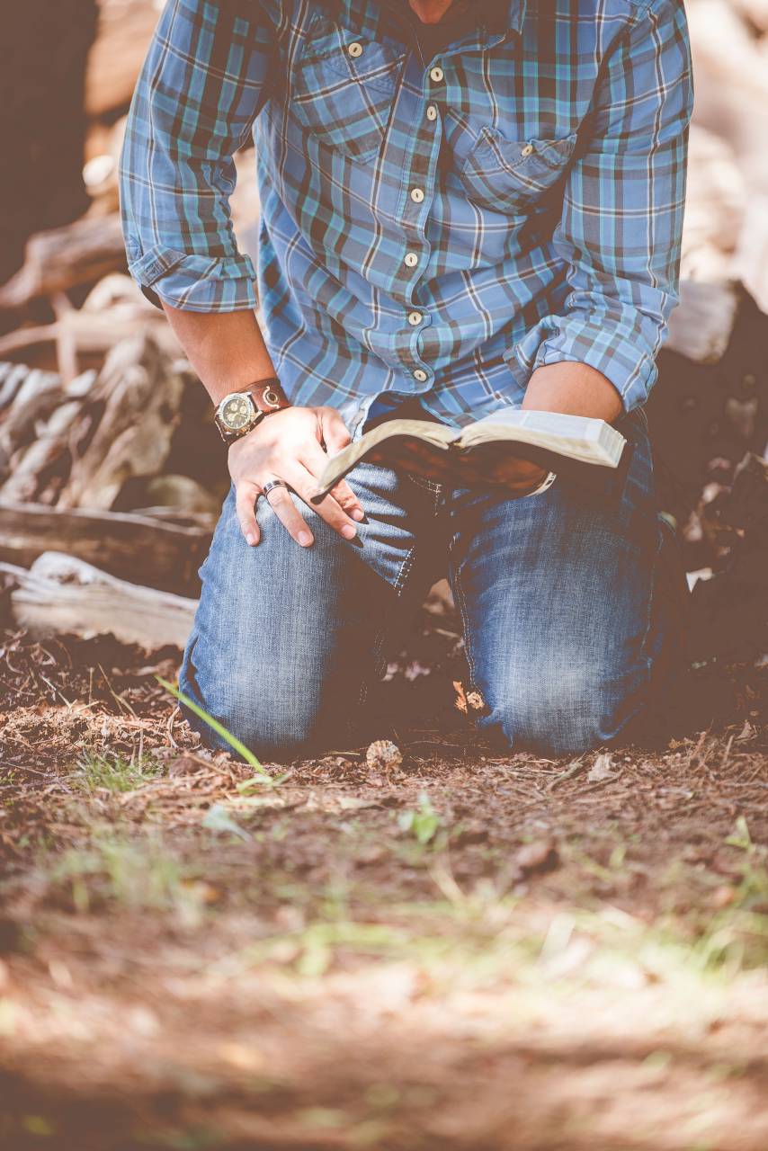 man, reading, cotton, shirt, watch, book, bible, forest, wood, kneeling, praying
, 