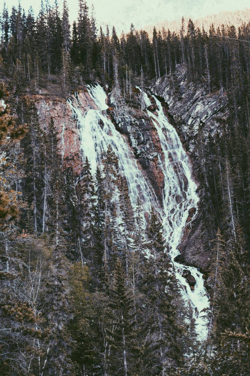 Montaña, cascada, arroyo, agua, naturaleza, paisaje, árboles, plantas, cielo,