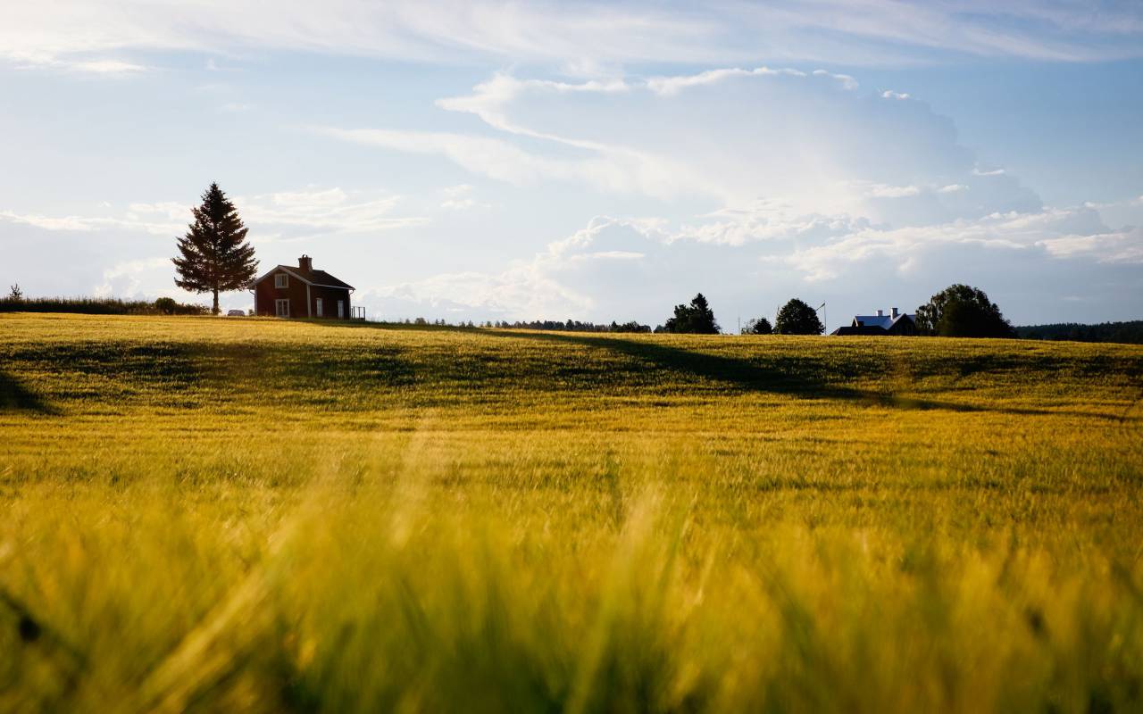 nature, grass, plains, sky, clouds, countryside, house, trees
, 