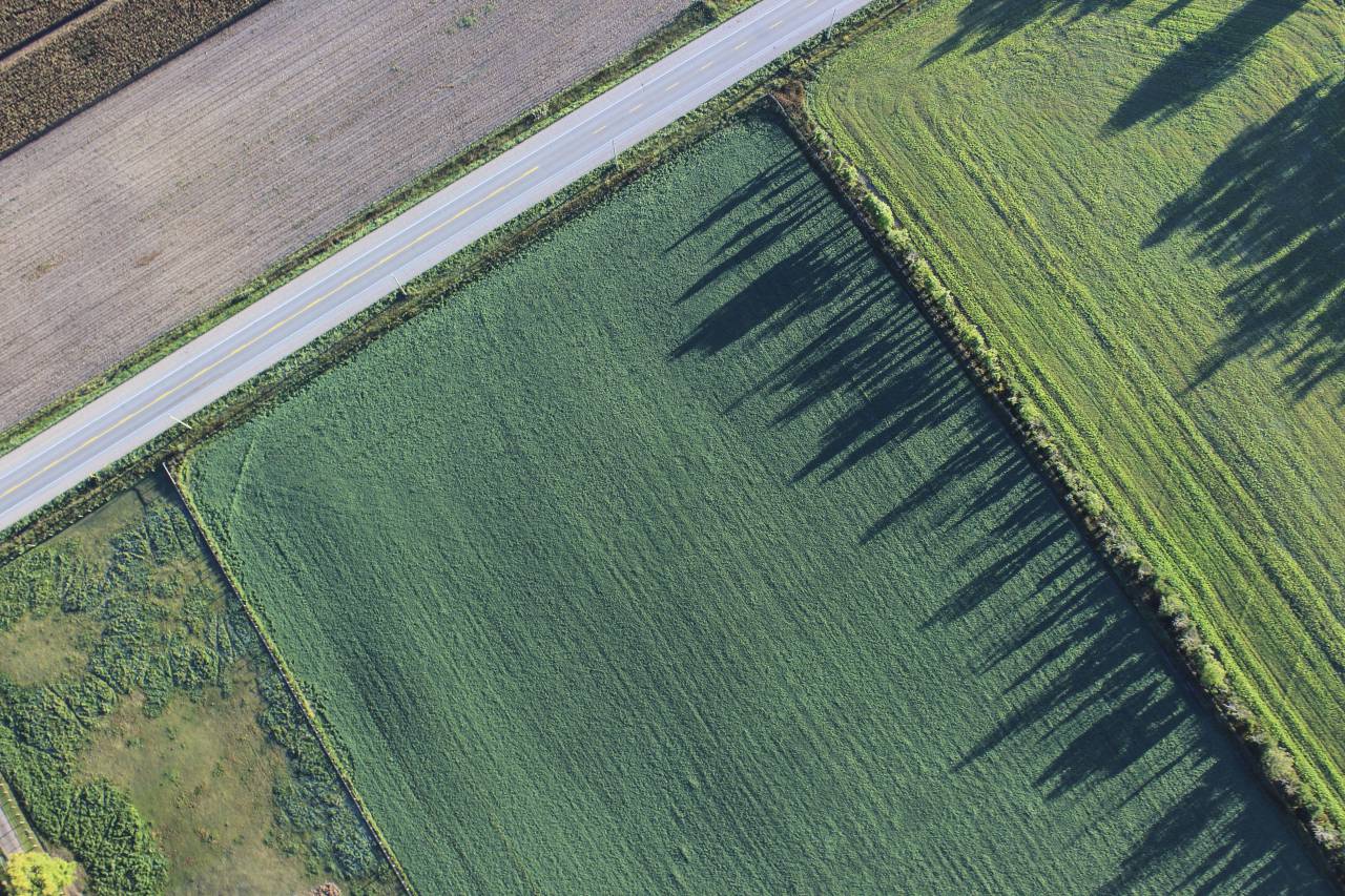 naturaleza, verde, pasto, campo, árboles, sombra, camino, viaje, aventura, camino,
